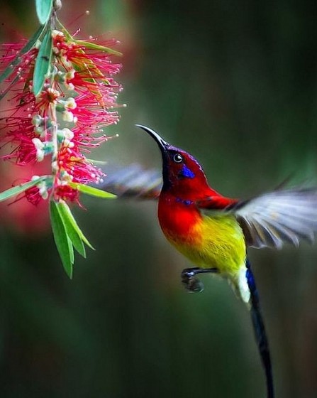 Bức ảnh của nhiếp ảnh gia Việt Nam 'gây sốt' tại cuộc thi khắc họa vẻ đẹp thế giới