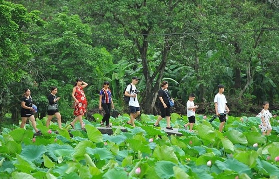 Việt Nam nằm trong top 5 địa điểm du lịch yêu thích của người Nhật Bản