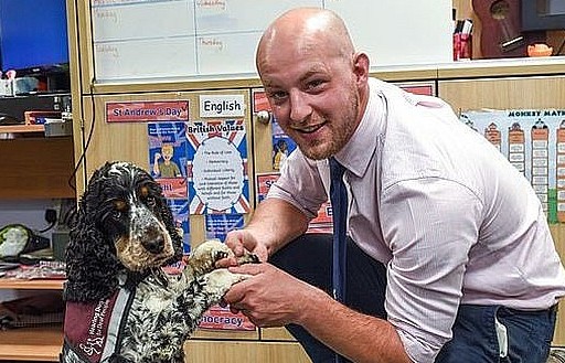 Anh: Chú chó thông minh giúp thầy giáo khiếm thính tự tin đứng trên bục giảng