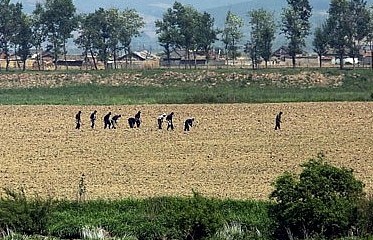 Nhiều thành phố lớn trên thế giới sẽ đối mặt với thời tiết ‘chưa từng thấy’
