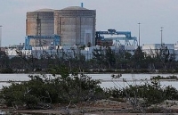 loai thu mo vit doc dao o australia ben bo tuyet chung