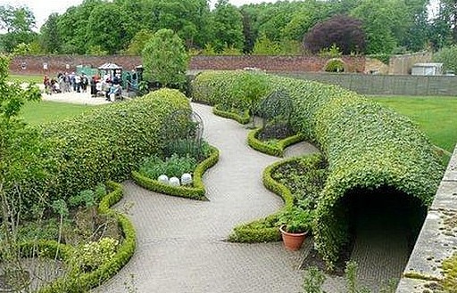 Khu vườn kỳ lạ: Nơi chạm vào cây cũng gây chết người