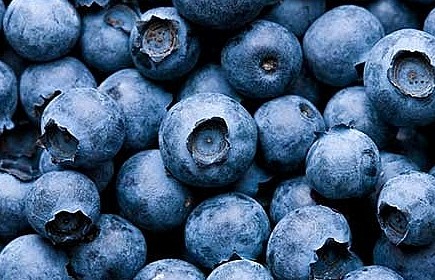 Trái việt quất - loại quả giữ 'ngôi vương' giúp chống oxy hóa