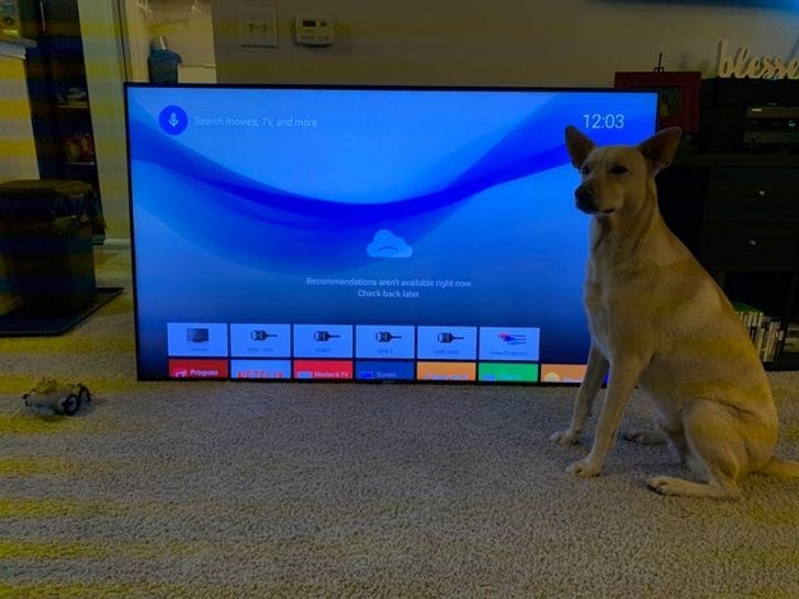 gia tai duoc tho san kho bau tim thay trong thung rac