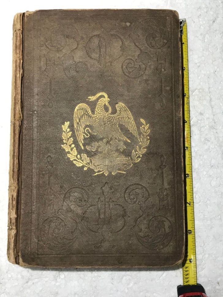 gia tai duoc tho san kho bau tim thay trong thung rac