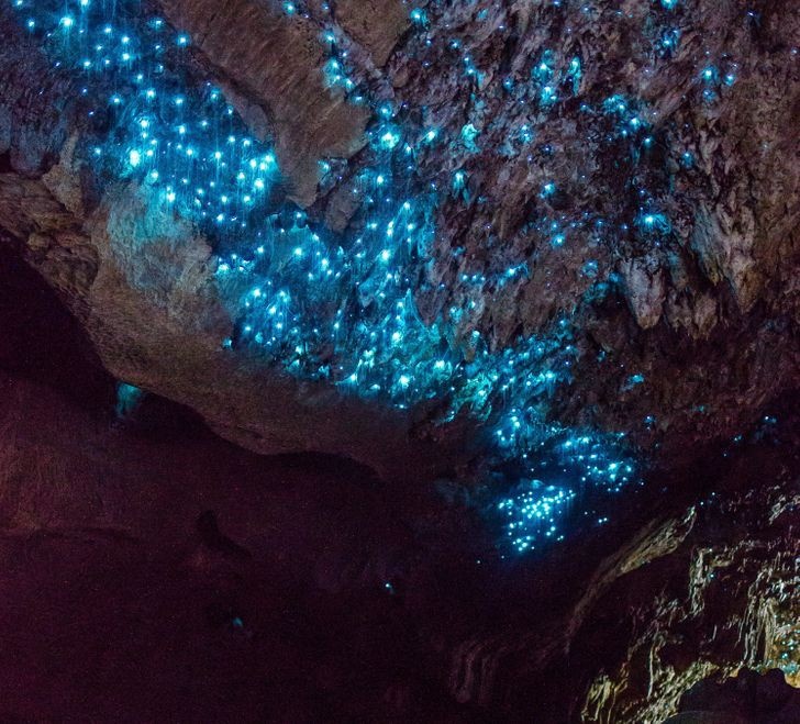 nhung hinh anh khien ban phai thot len that dang kinh ngac