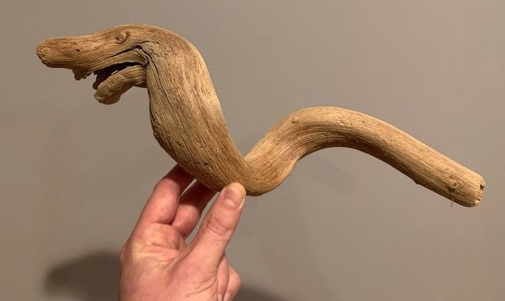 nhung hinh anh khien ban phai thot len that dang kinh ngac