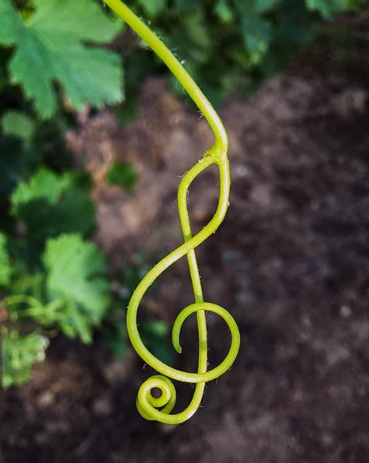 nhung hinh anh khien ban phai thot len that dang kinh ngac