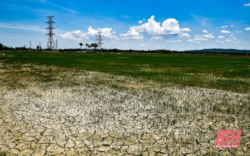 du bao thoi tiet dem nay va ngay mai 17 187 trung du va dong bang bac bo co noi dac biet gay gat chieu toi mua rao vai noi