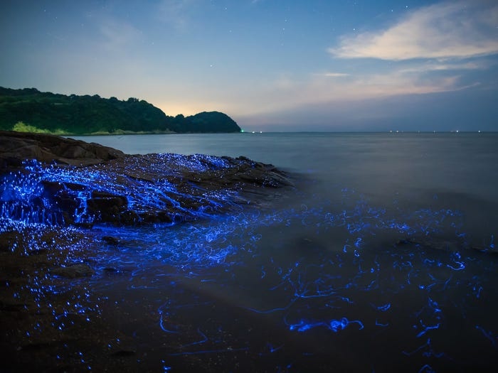 (Nguồn: Getty Images) 2316 5d23519321a8612d8f290c03