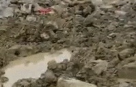 Vỡ đê ở Trung Quốc: 5 máy xúc bị nước lũ cuồn cuộn nuốt chửng trước sự ngỡ ngàng của nhân viên cứu hộ