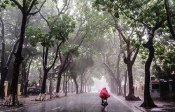 Dự báo thời tiết đêm nay và ngày mai (31/7-1/8): Biển Đông có mưa dông mạnh do ảnh hưởng của áp thấp nhiệt đới; cả nước mưa, có nơi mưa rất to