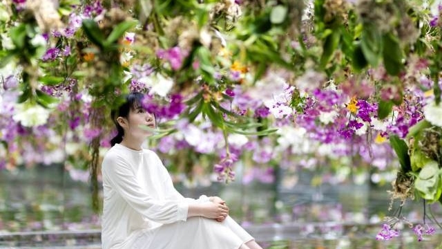 Mê mẩn với triển lãm hiệu ứng 3D từ 13.000 cây hoa lan ở Nhật Bản