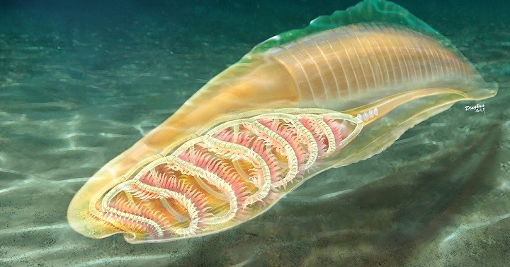 sinh vật kỳ lạ