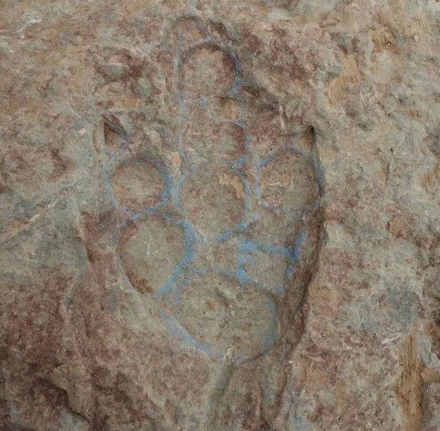 dấu chân khủng long 150 triệu năm tuổi