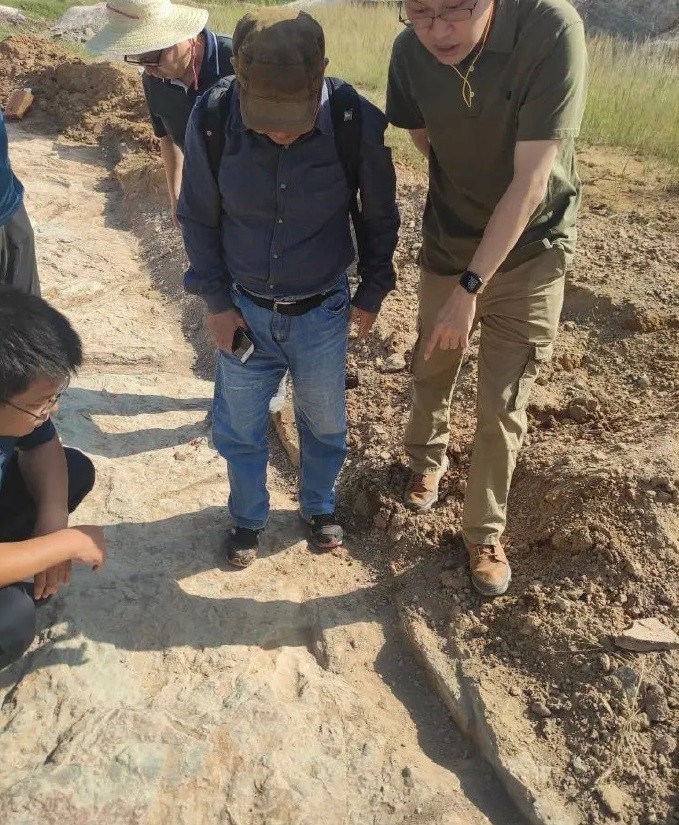 dấu chân khủng long 150 triệu năm tuổi