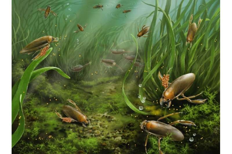 Trung Quốc: Côn trùng biết bảo vệ trứng cách nay hơn 161 triệu năm Trung Quốc: Côn trùng biết bảo vệ trứng cách nay hơn 161 triệu năm