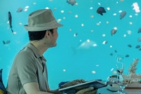 Ca sĩ Quang Vinh thảnh thơi ngắm cảnh Maldives và nhìn cá mập bơi ở nhà hàng dưới biển