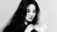 Lưu Diệc Phi chụp ảnh đen trắng, giới thiệu phim Đi đến nơi có gió