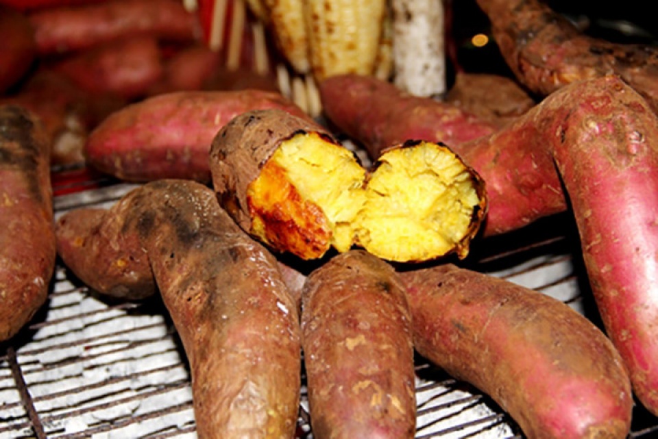 loi ich tuyet voi tu khoai lang