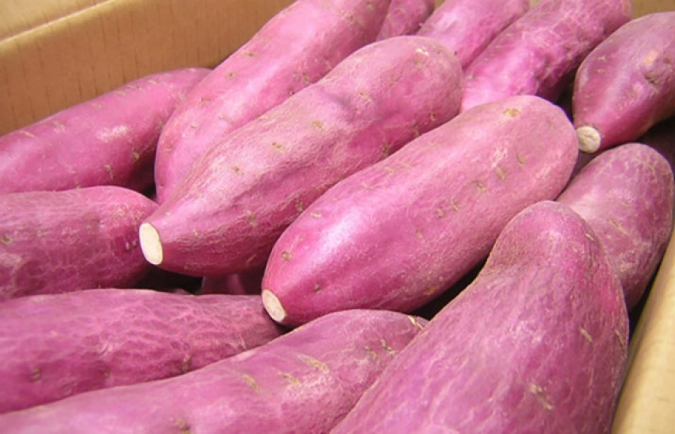 Lợi ích tuyệt vời từ khoai lang