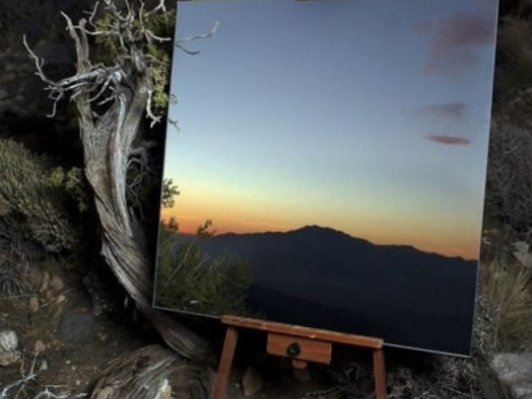 Những bức ảnh độc đáo đánh lừa thị giác người xem