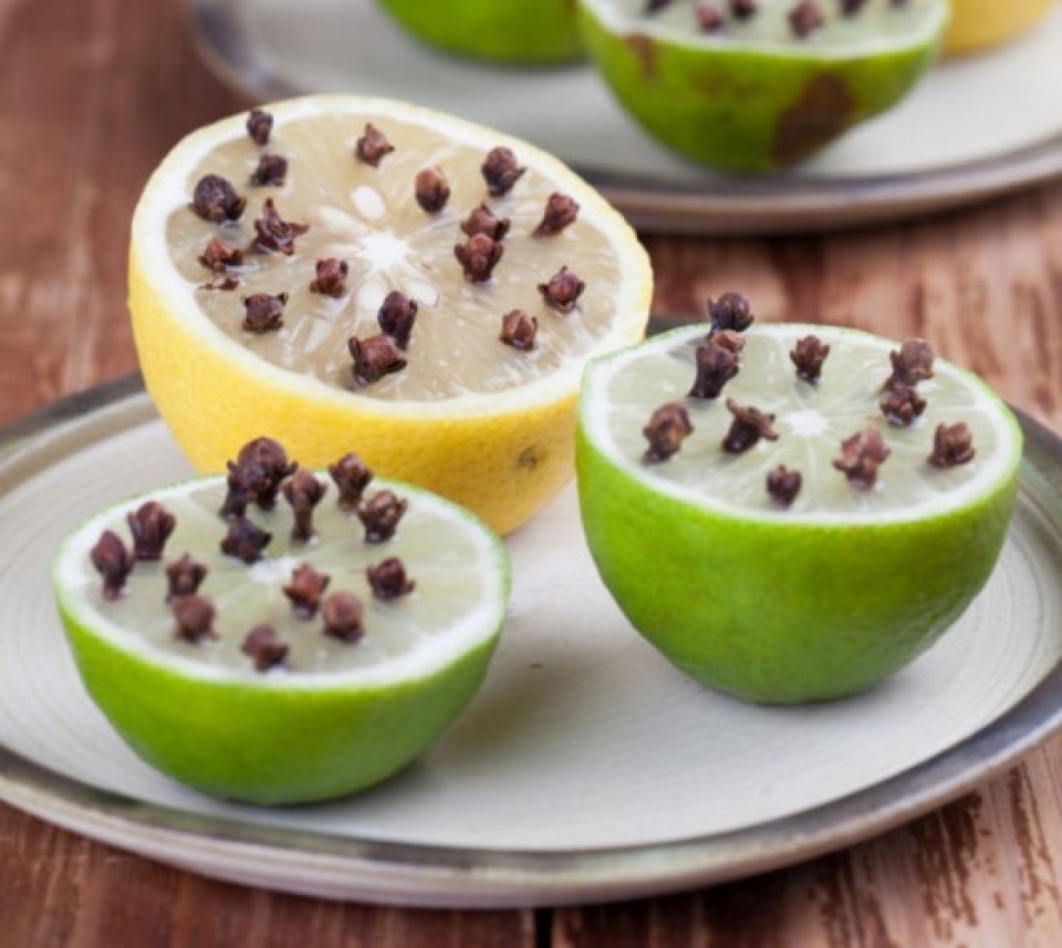 bi quyet su dung qua chanh trong doi song thuong ngay