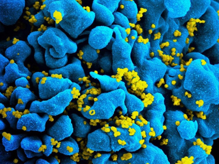 9 loại vaccine được kỳ vọng tạo bước đột phá trong y khoa