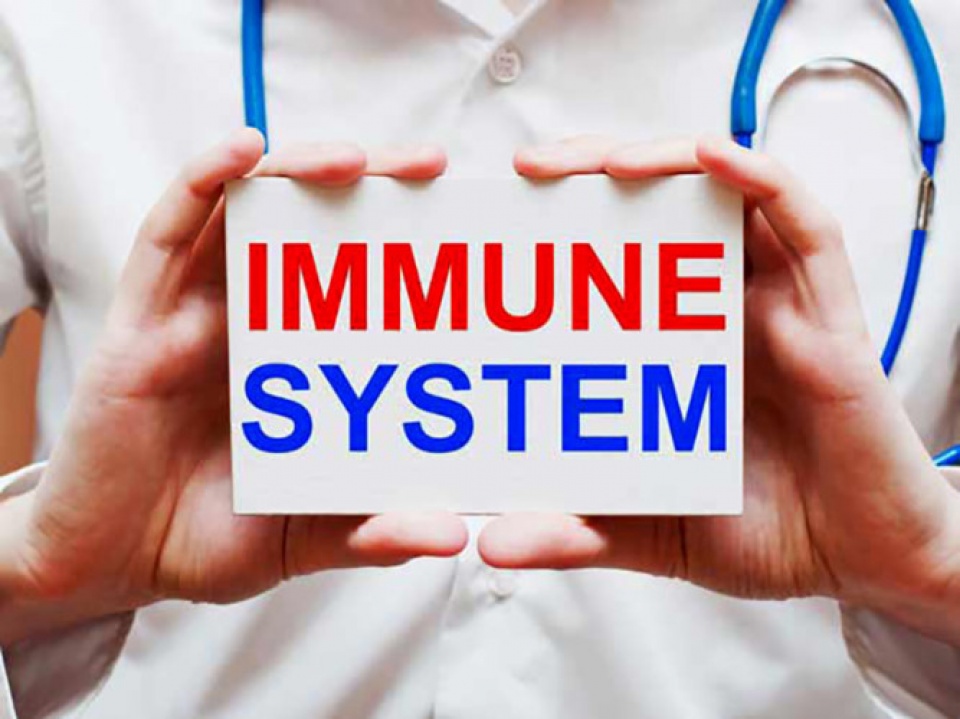 day la li do tai sao ban nen uong tra gung moi ngay