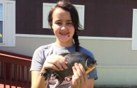 ca koi song dat nhat the gioi co gi dac biet