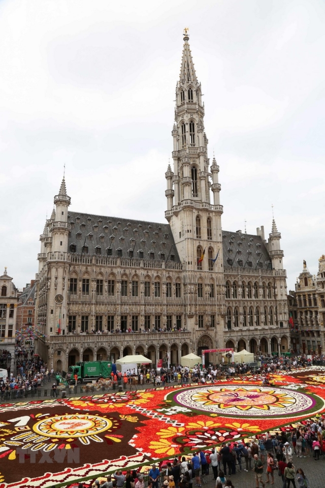 chiem nguong tam tham hoa hai duong khong lo tai quang truong nuoc bi