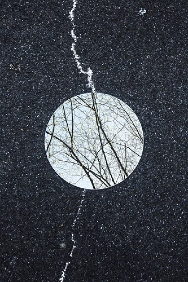 ve dep cua tu nhien qua tam guong tron