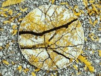 bat ngo truoc nhung khoanh khac trung hop den kho tin trong cuoc song