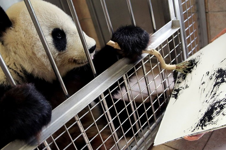 Áo: Chiêm ngưỡng khả năng hội họa của một bà mẹ gấu trúc