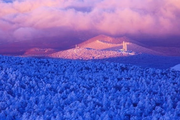 Khám phá xứ Kim Chi trước trận cầu lịch sử Olympic Việt Nam - Hàn Quốc