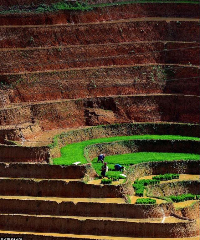 Ruộng bậc thang Yên Bái nằm trong top “Ảnh Trái đất” ấn tượng nhất