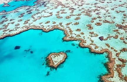 Phát hiện thêm yếu tố hủy hoại các 'kỳ quan tự nhiên' dưới biển