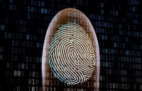 google cong bo du an thu mua nang luong tai tao lon nhat trong lich su