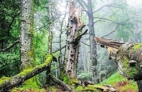 phat hien ngoi nha tu thoi trung co khoang 600 nam tuoi nam duoi long dat