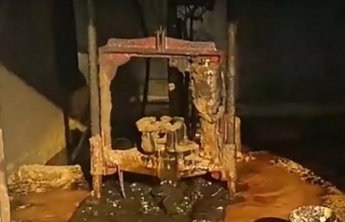 Mexico: Chuyện hy hữu đào giếng trong vườn nhà phát hiện mỏ dầu