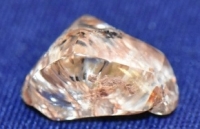 tang da phu thuy nang 1 tan trong vuon quoc gia bien mat bi an