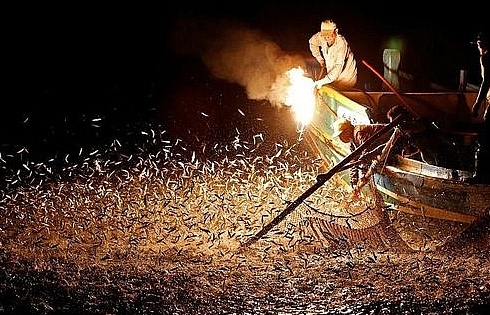 Độc đáo nghề đánh cá bằng lửa, cá 'điên cuồng' lao đến những chiếc lưới giăng sẵn