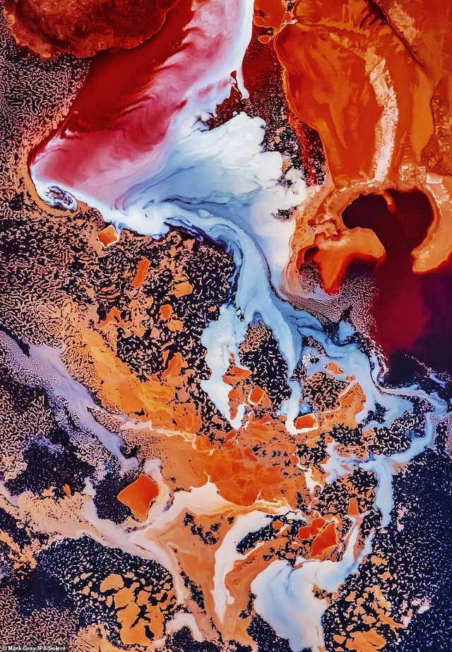 khoanh khac chai luoi o viet nam nam trong top anh dep cua giai anh quoc te