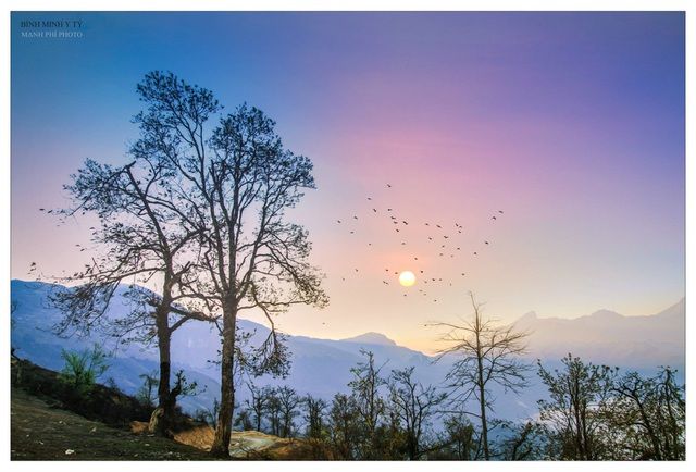 2949-y-ty-17-1597124502923