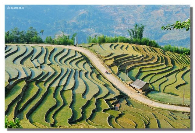 y ty dep me li ca 4 mua vung dat khien du khach tro lai muoi lan chua chan