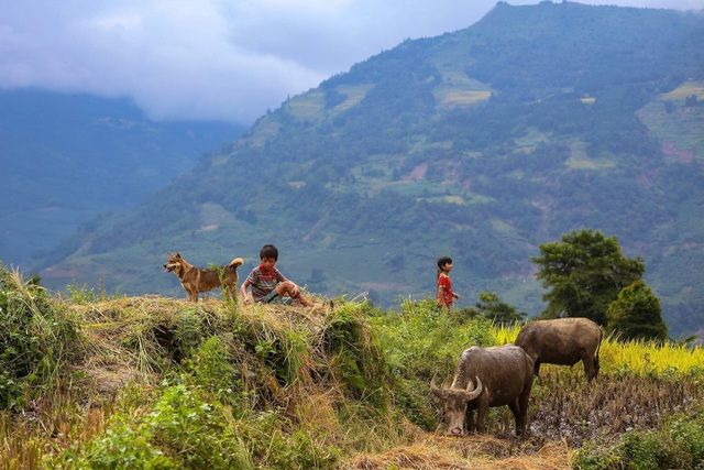 y ty dep me li ca 4 mua vung dat khien du khach tro lai muoi lan chua chan