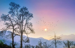 Y Tý - cảnh đẹp mê li cả 4 mùa: Vùng đất khiến du khách trở lại 10 lần chưa chán