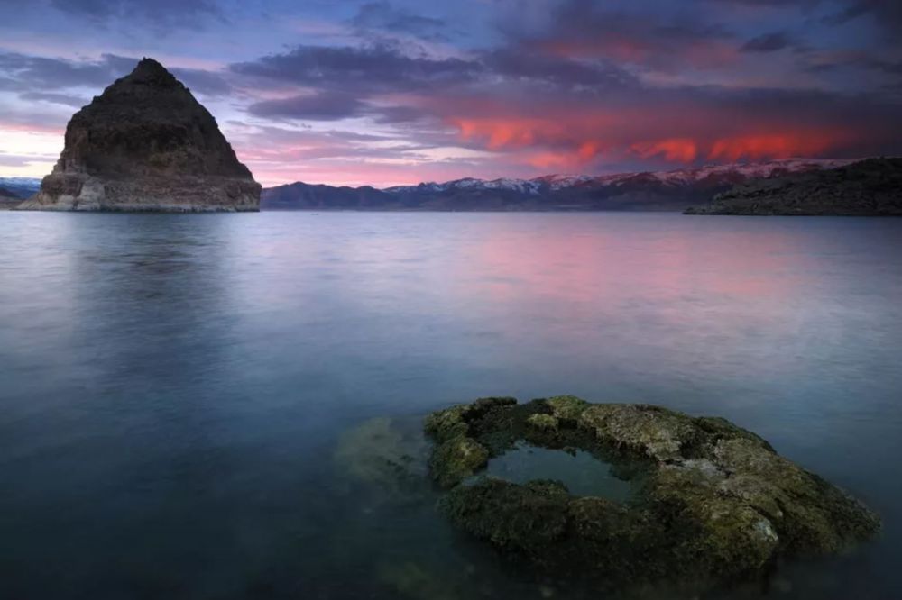 Hồ nước đột nhiên chuyển sang màu khác thường sau khi tảo độc sinh sôi ho nuoc dot nhien chuyen sang mau khac thuong sau khi tao doc sinh soi