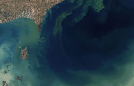 Hồ nước đột nhiên chuyển sang màu khác thường sau khi tảo độc sinh sôi