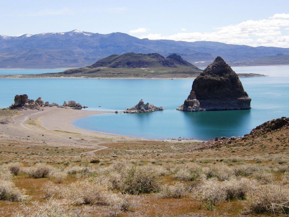 Hồ nước đột nhiên chuyển sang màu khác thường sau khi tảo độc sinh sôi ho nuoc dot nhien chuyen sang mau khac thuong sau khi tao doc sinh soi